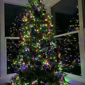 Meet your Posher, Lillian